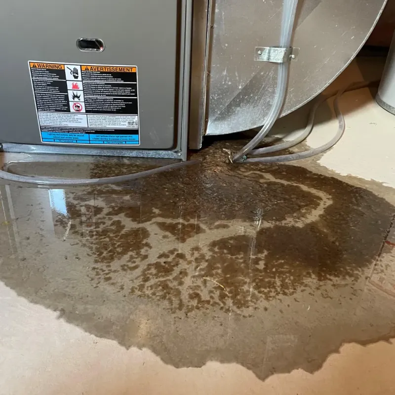 Appliance Leak Cleanup in New Milford, NJ